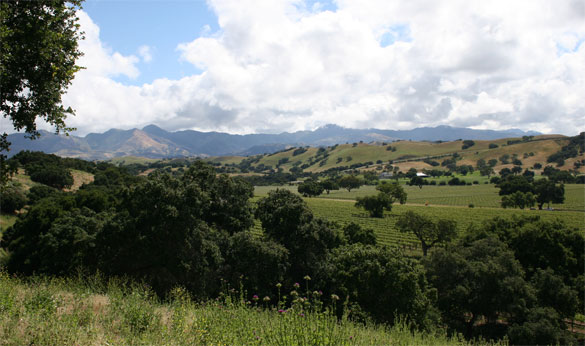 Foxen Canyon Road